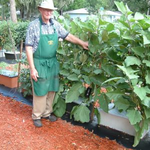 Our Town Sarasota - Sarasota Gardening