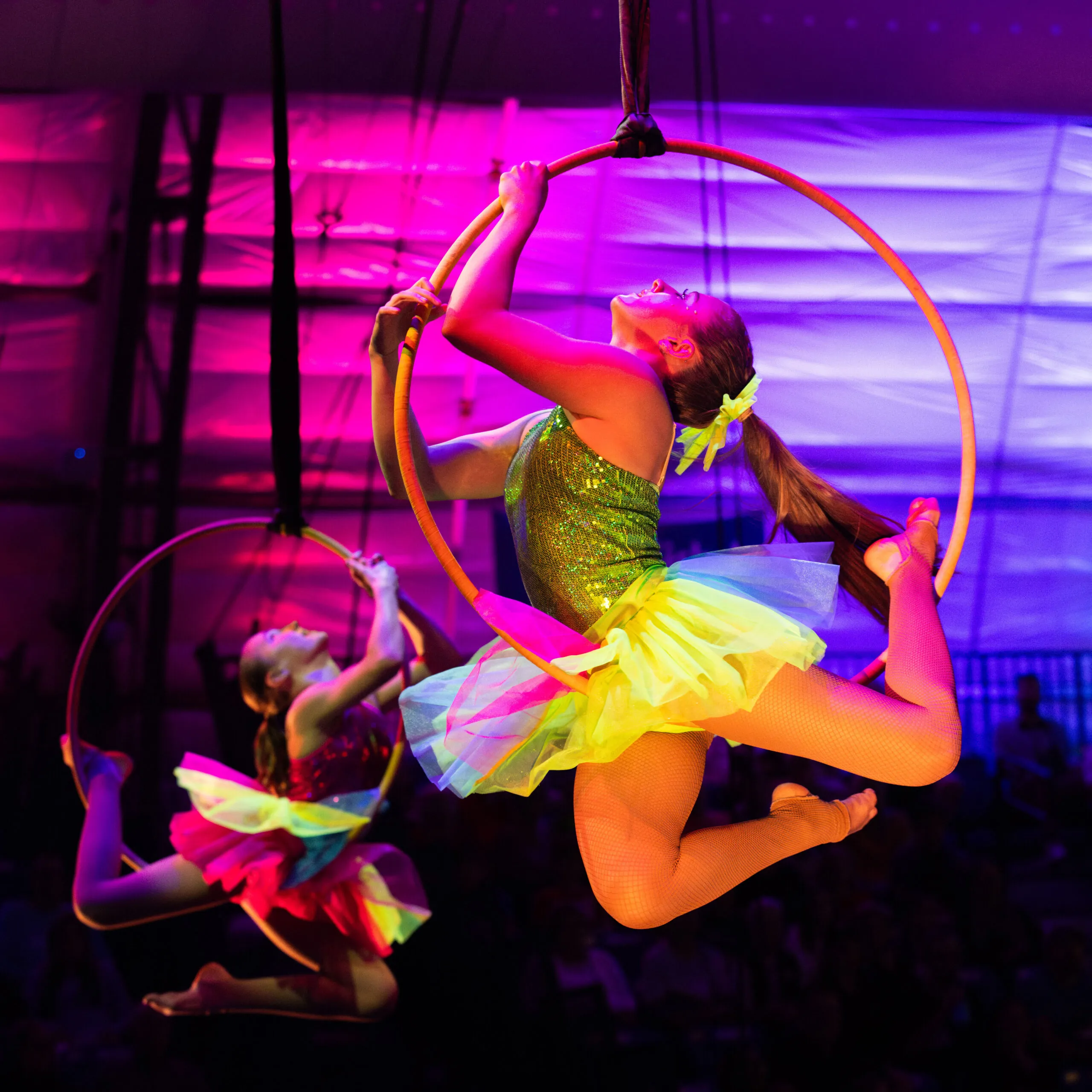 Our Town Sarasota - Circus 2025- 2026