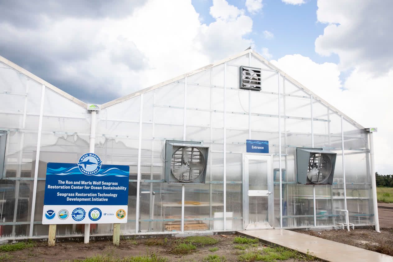 Mote Opens 3 More Seagrass Buildings